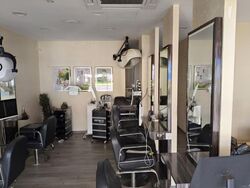 Hougang Avenue 1 (D19), Shop House #623642961